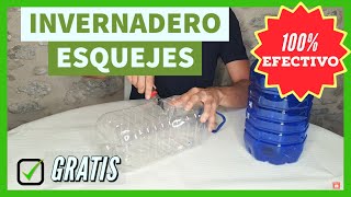 Mini Invernadero de esquejes casero 🌱 Efectivo y Gratis 🔥 2 Métodos Esqueje de estaca y semi leñoso [upl. by Falzetta]