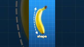 Why Are Bananas Curved 🤔 shorts facts [upl. by Leifer815]