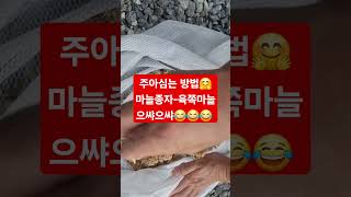 양평농사마늘주아가을일상관리지속수확멍구독귀촌꿀팁좋아요초보농사주말농장농부자연친환경열심히설명키우기농작물방법놀기힐링여유건강기다림경험 [upl. by Neesay]