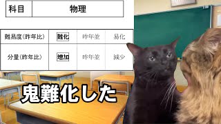 【猫ミーム】大学入試のときの出来事【難化】〈受験猫ミーム〉 [upl. by Ynaffad]