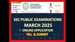 HOW TO FILL AND SUBMIT  SSC Online Application MARCH 2025  IN DETAIL [upl. by Ettelimay]