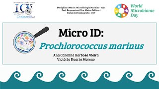 MicroID Prochlorococcus marinus [upl. by Athena856]