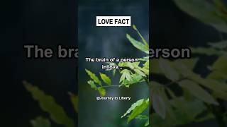 Brain state of people in love [upl. by Durning]