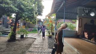 SUASANA TERKINI PURI AYODYA DI BULELENG BALI [upl. by Ailedamla288]