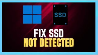 How to Fix SSD Not Showing Up in Windows 1011  Simple Guide [upl. by Naul]