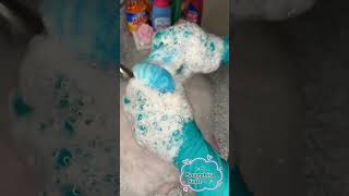 Massive Soap Sponge Squeeze ASMR  Endless soft suds with minimal cuts [upl. by Dolly698]