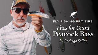 FLY FISHING PRO TIPS  FLIES FOR GIANT PEACOCK BASS [upl. by Billen]