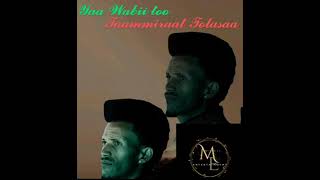 Y WABIITOO Tamirat Tolasa new oromo music 2024 [upl. by Merrell]