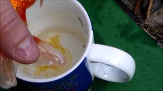 Goldfish breeding  Bodge job [upl. by Langston]