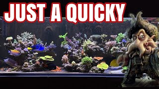 Reef Aquarium  Quicky [upl. by Whitby]