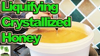 How To Convert Crystallized Honey Back To Liquid Honey [upl. by Bopp]