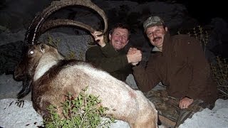 Bezoar Ibex Hunting in Turkey Recep Ecer  Victor [upl. by Brinn]