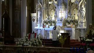 Mass at 12pm – in Extraordinary Form –Annunciation of the Blesses Virgin Mary Carmelite Rite [upl. by Eelydnarb509]