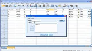 Value Labels  SPSS [upl. by Ivonne674]