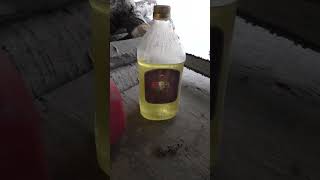 FOOD SAFE CHAINSAW OIL [upl. by Alleris]