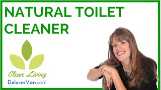 How to Clean the Toilet  Enviromentally Friendly Products  Biodegradable  Norwex [upl. by Brigg670]