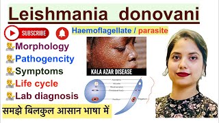 Leishmania donovani Parasite in Hindi  Life cycle  Lab diagnosis  Haemoflagellate [upl. by Godwin877]