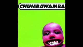 Chumbawamba Tubthumping Original Lyrics [upl. by Sad669]