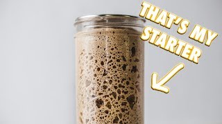 The Ultimate Sourdough Starter Guide [upl. by Nicole406]