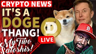 Dogecoin to Soar Beyond Expectations Crypto Blood Explains Why It’s Possible [upl. by Elsey]