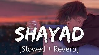 Shayad SlowedReverb  Arijit Singh  Lofi  Revibe [upl. by Vivianna]