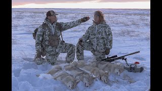 South Dakota Coyote Hunting after the BLIZZARD Predator Hunting Suppressed Quadro Dose [upl. by Notgnihsaw]