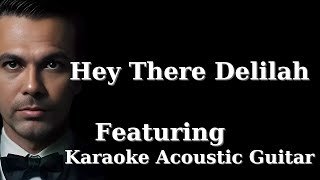 Hey There Delilah Featuring Karaoke Acoustic Guitar 2024 [upl. by Nikaniki961]