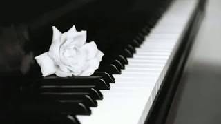 Chopin  Nocturne Op 9 n 2 Maurizio Pollini [upl. by Janette693]