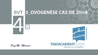 BAC SciencesSVT03 ovogenèse cas de 2n 4 [upl. by Synned130]