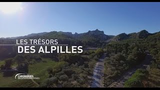 CHRONIQUES MÉDITERRANÉENNES  Les Trésors des Alpilles [upl. by Yliah336]