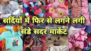 Sadar Bazar Sunday Patri Market  दिल्ली सदर बाज़ार संडे मार्केट [upl. by Ullman]