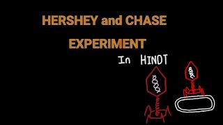 Hershey and Chase Experiment  in Hindi [upl. by Aneroc]