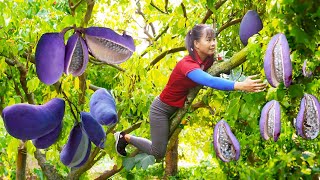 Harvesting Fresh Mushroom Goes to market sell Mushroom farm  Tiểu Vân Daily Life [upl. by Irabaj]