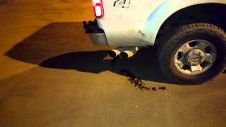 67 powerstroke dpf delete exhaust sound [upl. by Sharline]