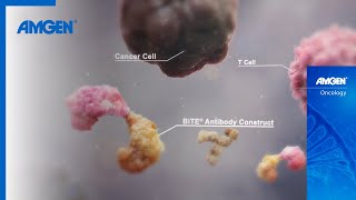 BiTE® Immunotherapy The Next Generation of Cancer Treatment [upl. by Norit53]