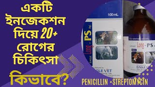 পেনিসিলিন স্ট্রেপটোমাইসিন এর ব্যবহার ক্ষেত্র সমূহ। Long PS [upl. by Ettennan]