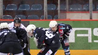 Eisbären Juniors Berlin Vorstellung [upl. by Eilram]