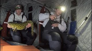 Ice camping for Burbot Ice Fishing Eelpout tips and tricks [upl. by Anagnos]