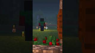 DARK HEROBRINE LO SFIDA  😱😱😱😱 shorts minecraft [upl. by Evannia]