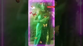 Oi AJ jaga pakhi dake love dance nails cutebaby funny [upl. by Asined162]