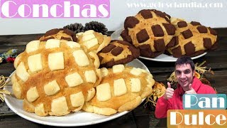 CONCHAS MEXICANAS 😍🍪😋pan dulce blancas y de chocolate Receta  446 [upl. by Wolk525]