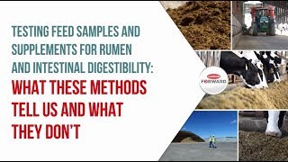 Testing feed samples and supplements for rumen and intestinal digestibility [upl. by Ted]