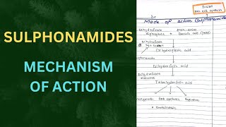 Mechanism Of Action Of Sulphonamides  Mode of action Sulphonamides MOA [upl. by Jona]