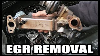 HOW TO REMOVE amp BLANK  BMW 135 SERIES  N47 EGR VALVE DELETE [upl. by Adamski]