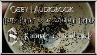 Harry Potter és az azkabani fogoly hangoskönyv remake  6 fejezet [upl. by Atnoid126]