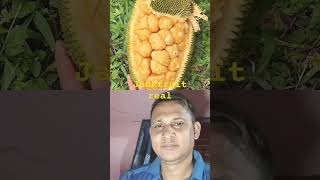 Real jackpot jackfruit fruit hiphop hipop hipop [upl. by Susej]