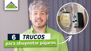 6 trucos para ahuyentar a los pájaros de casa  LEROY MERLIN [upl. by Ambrogio775]