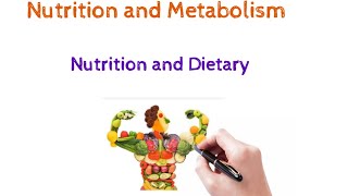 Nutrition and Metabolism  Animated [upl. by Akcinahs]