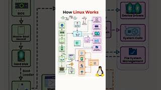 HOW LINUX WORKS coder javascript reactjs programminglanguage education coding webdev [upl. by Kcam]