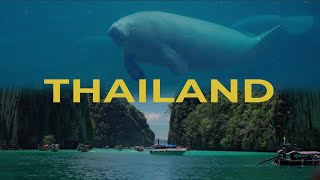 Thailand  Cinematic Travel Video [upl. by Nahama617]